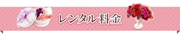 レンタル料金